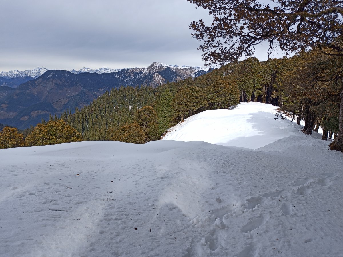 Raghupur fort trail through forest coverd by snow in winter