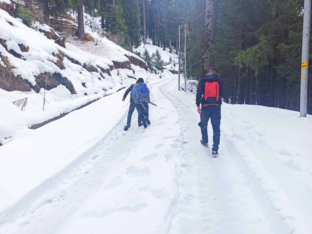 Trekking from Sojha to Jalori Pass in winter