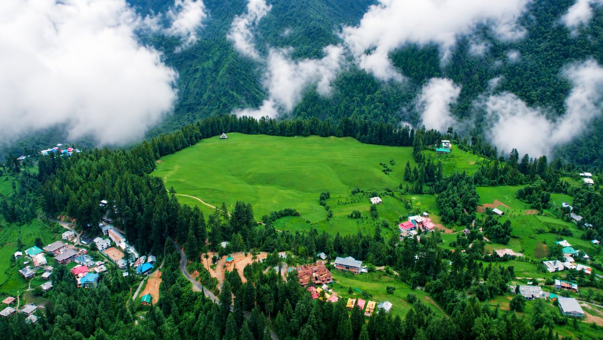 shangarh meadow