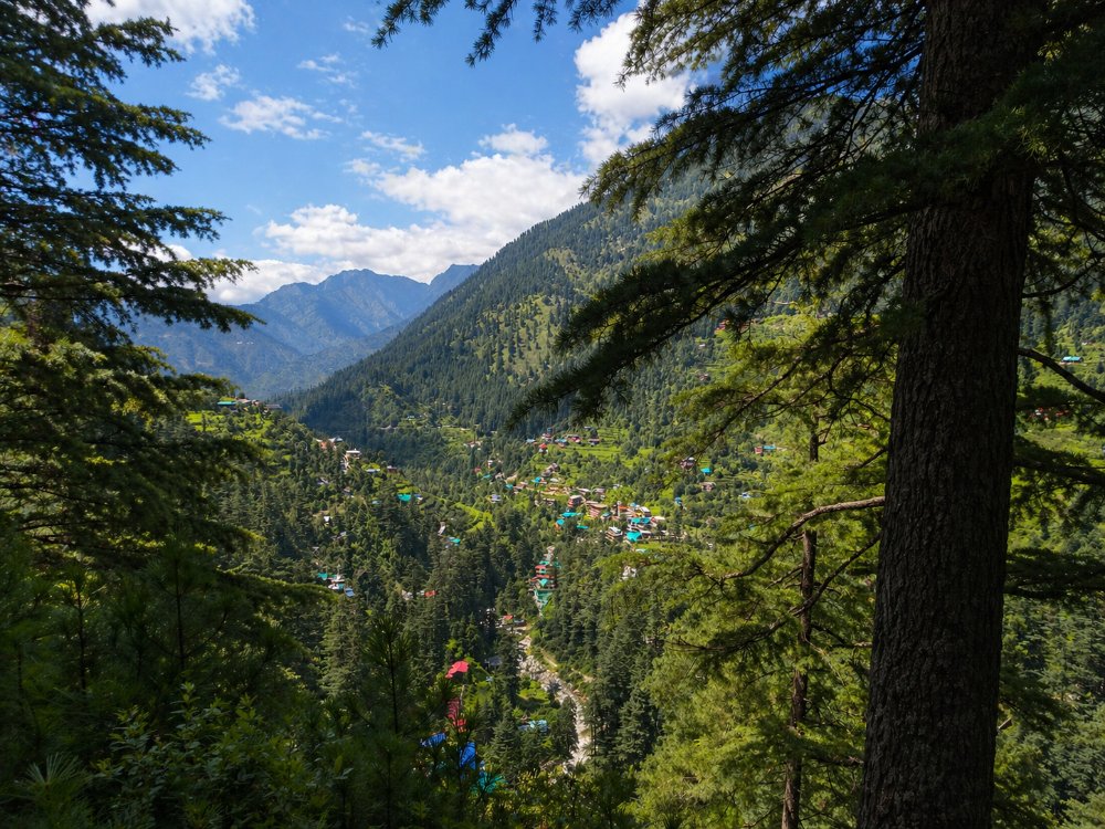 jibhi from tandi