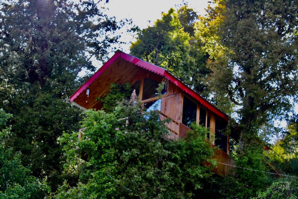 tandi village cottage